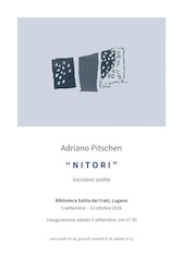 Locandina Pitschen